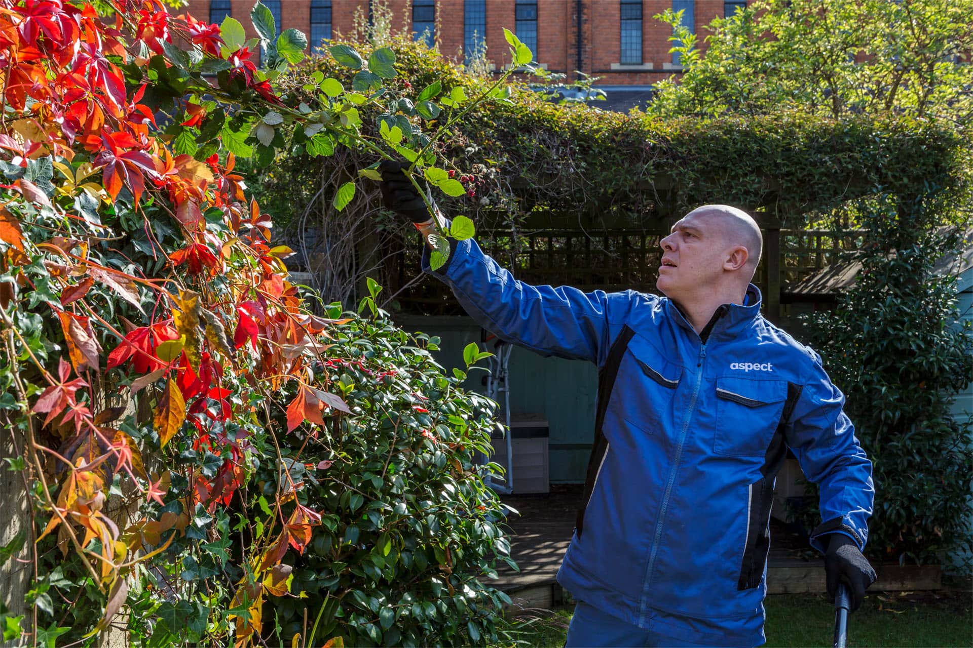 Gardener Near Me Gardening Services Near Me in London Aspect
